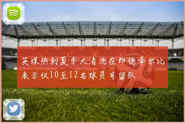 英媒热刺夏季大清洗在即德泽尔比表示仅10至12名球员可留队