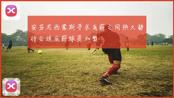 安芬尼西蒙斯寻求高薪合同热火静待合适底薪球员加盟